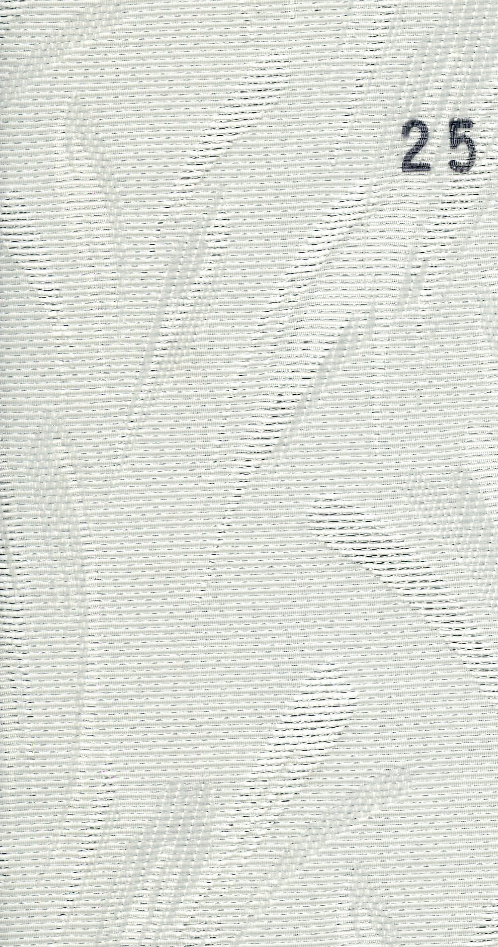 2 Polina 25