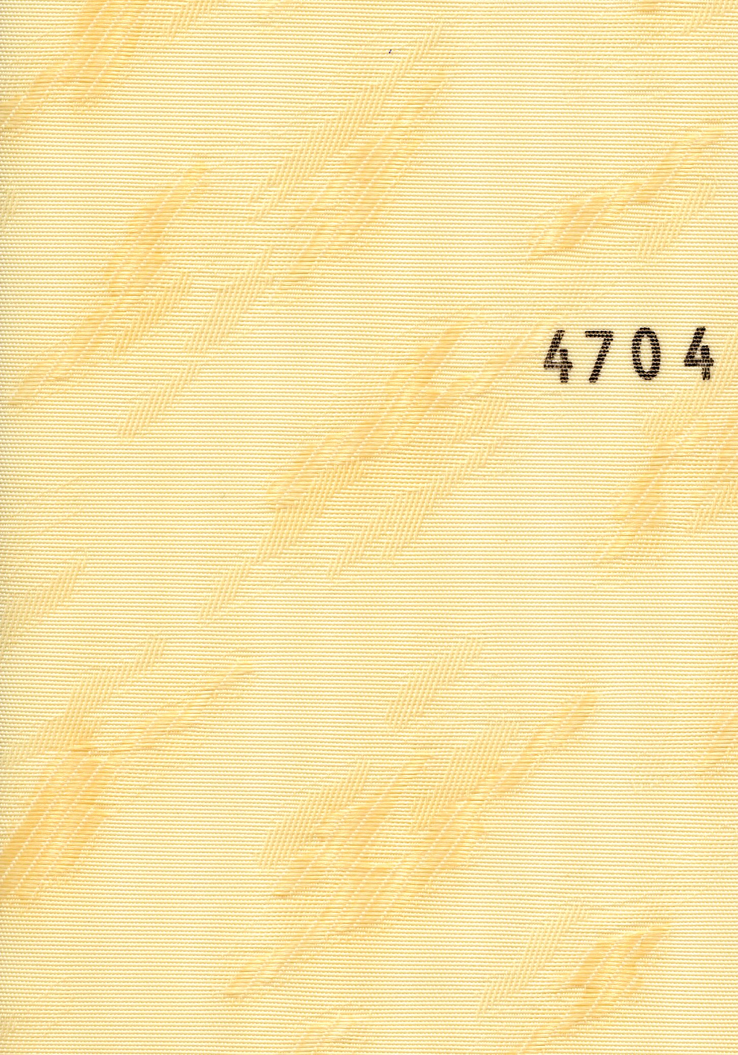 Madeira 4704