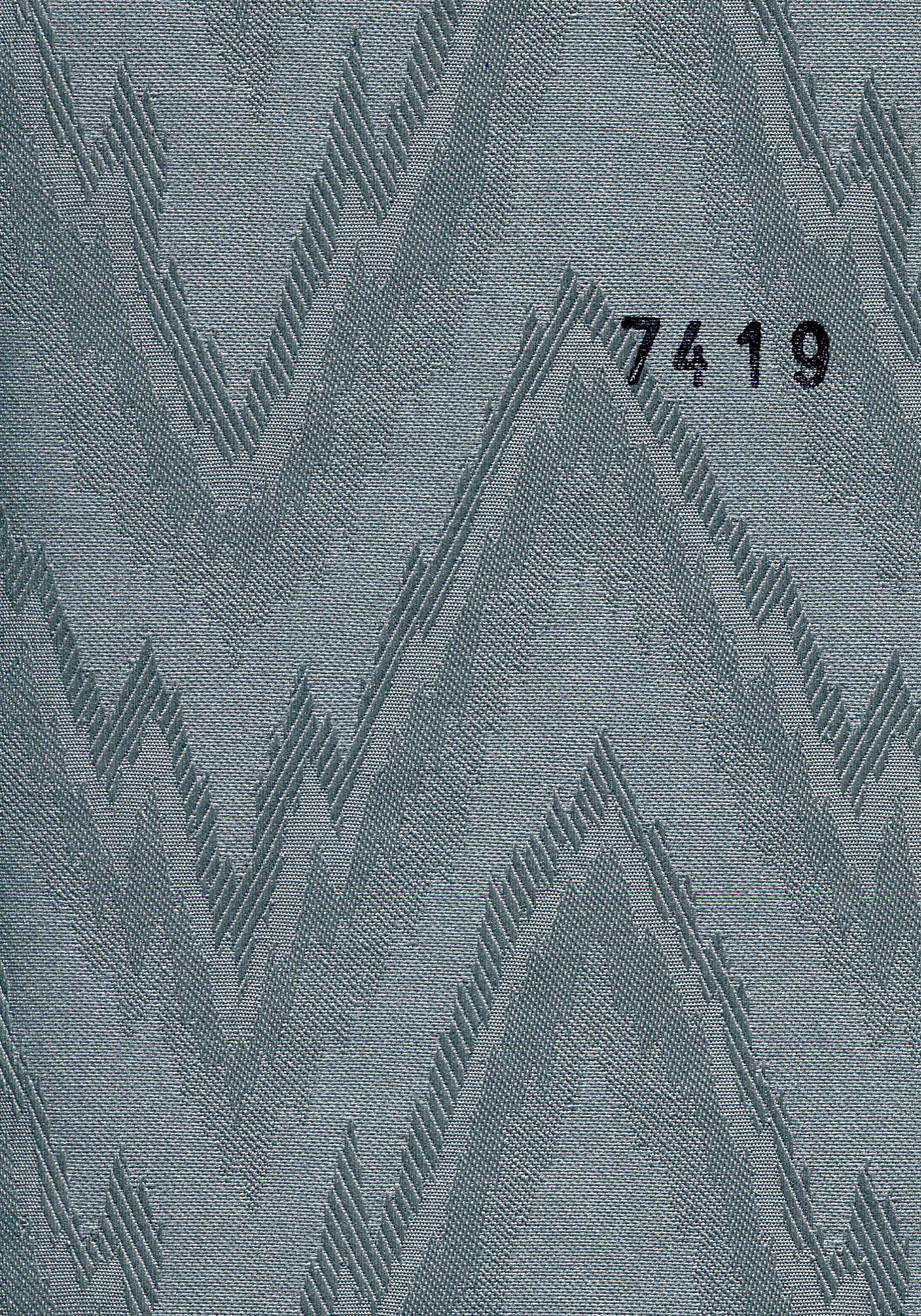 Mountain 7419
