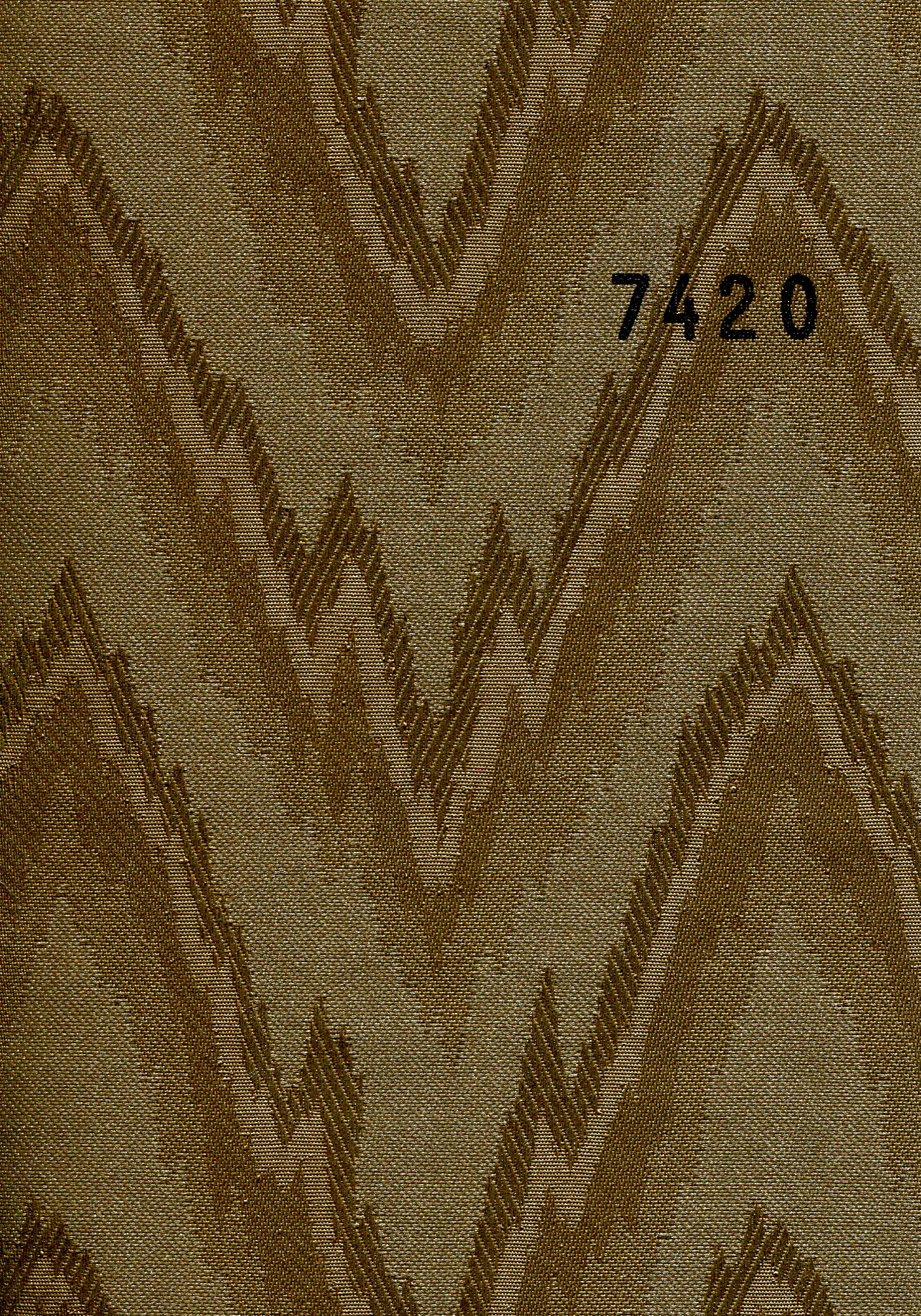 Mountain 7420