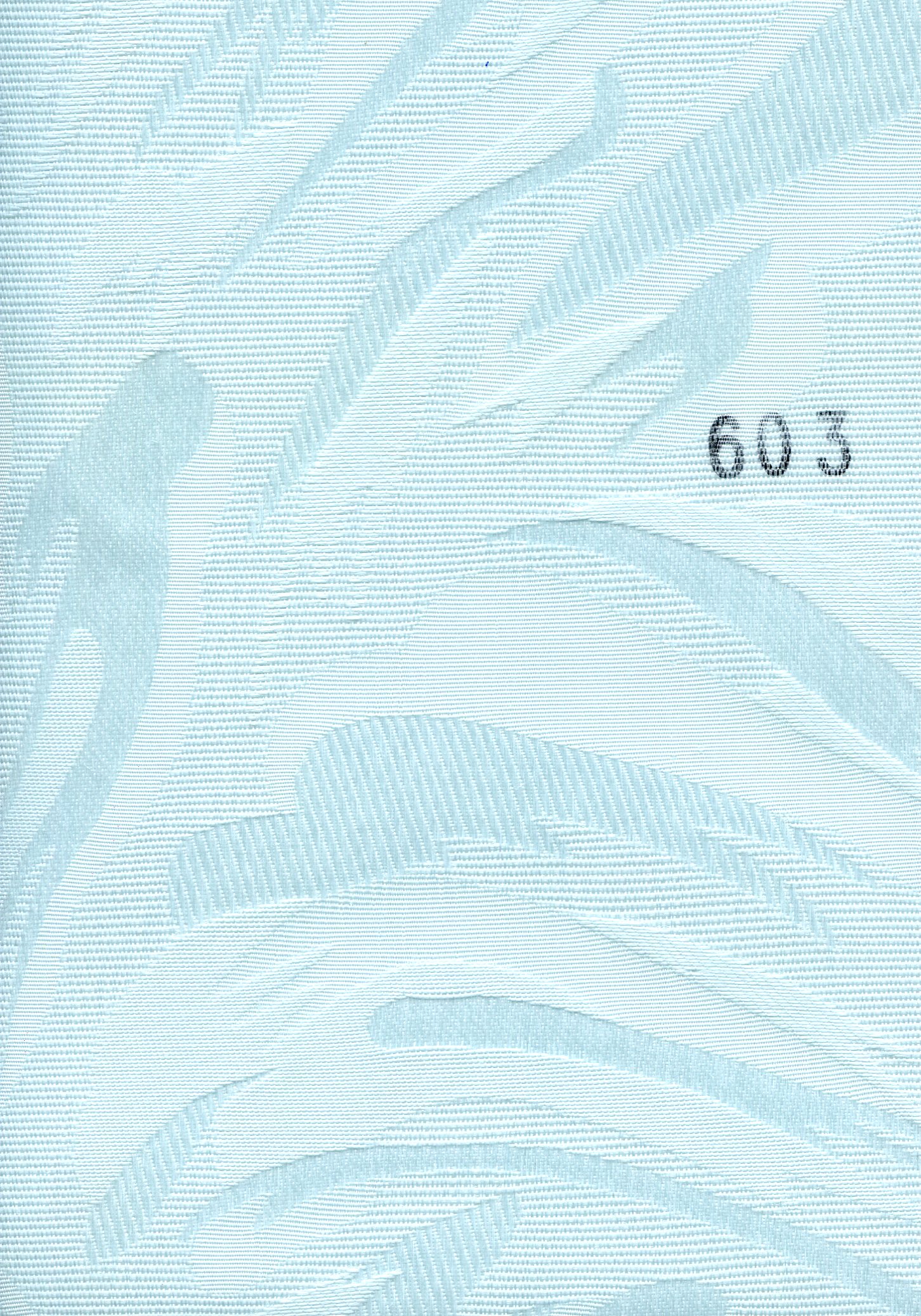 Paloma 603