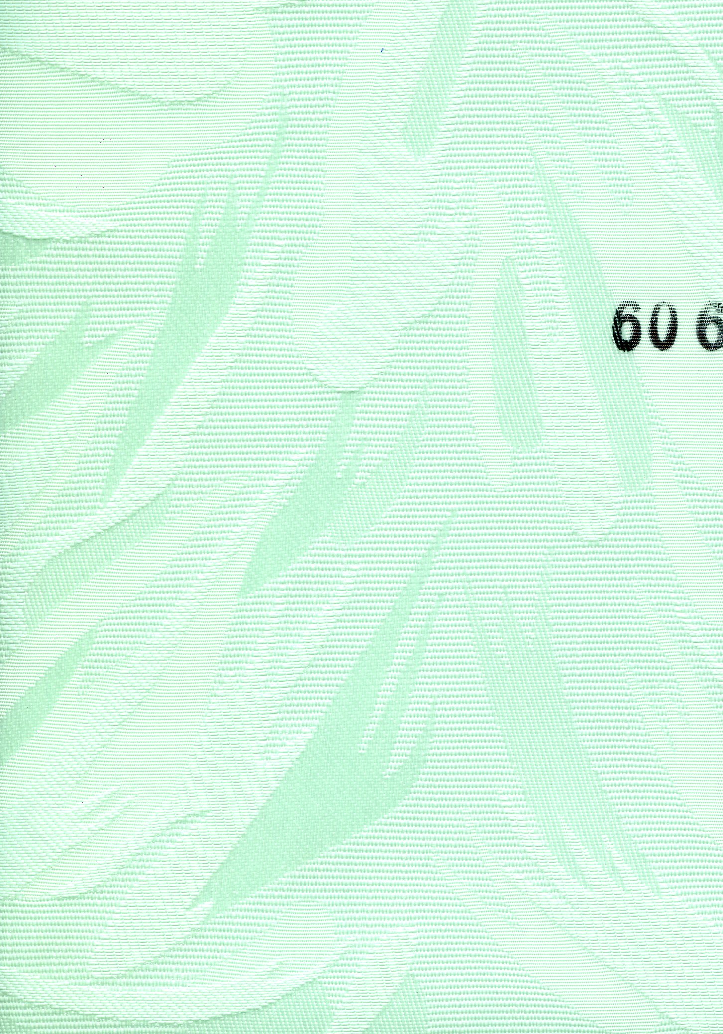 Paloma 606