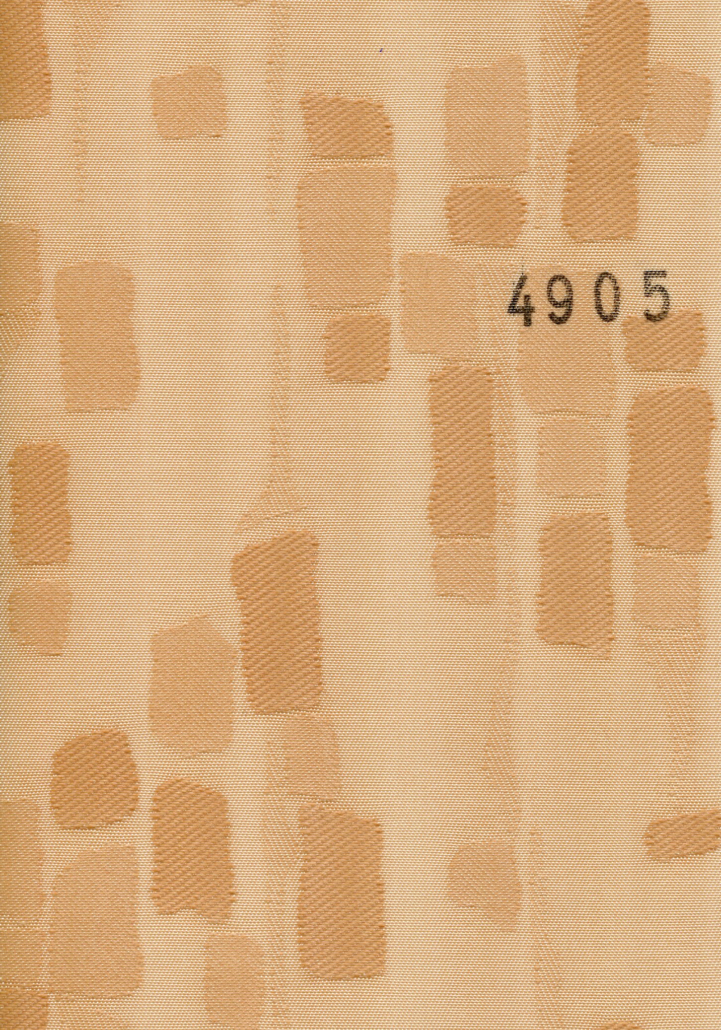 Rembrant 4905