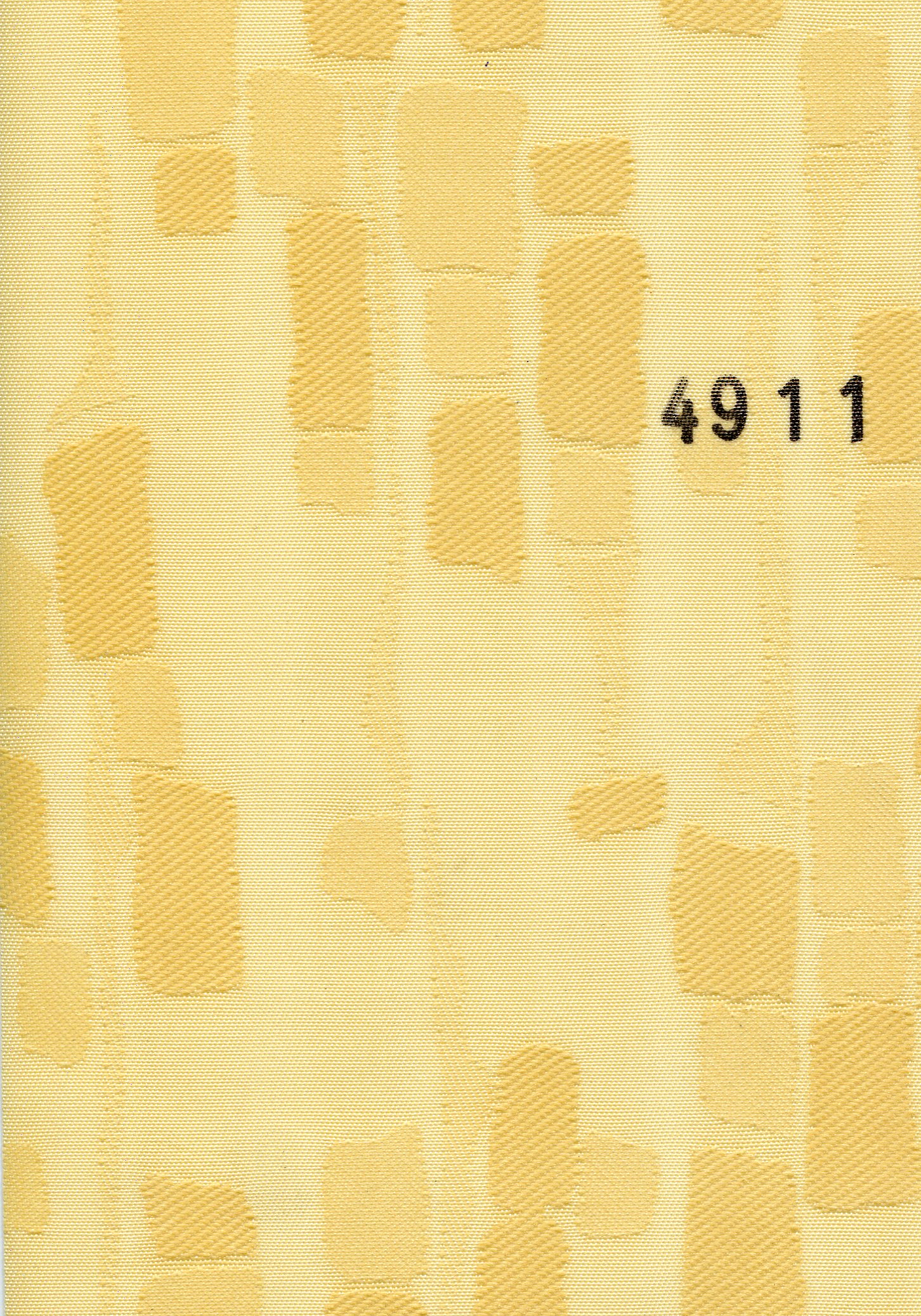 Rembrant 4911