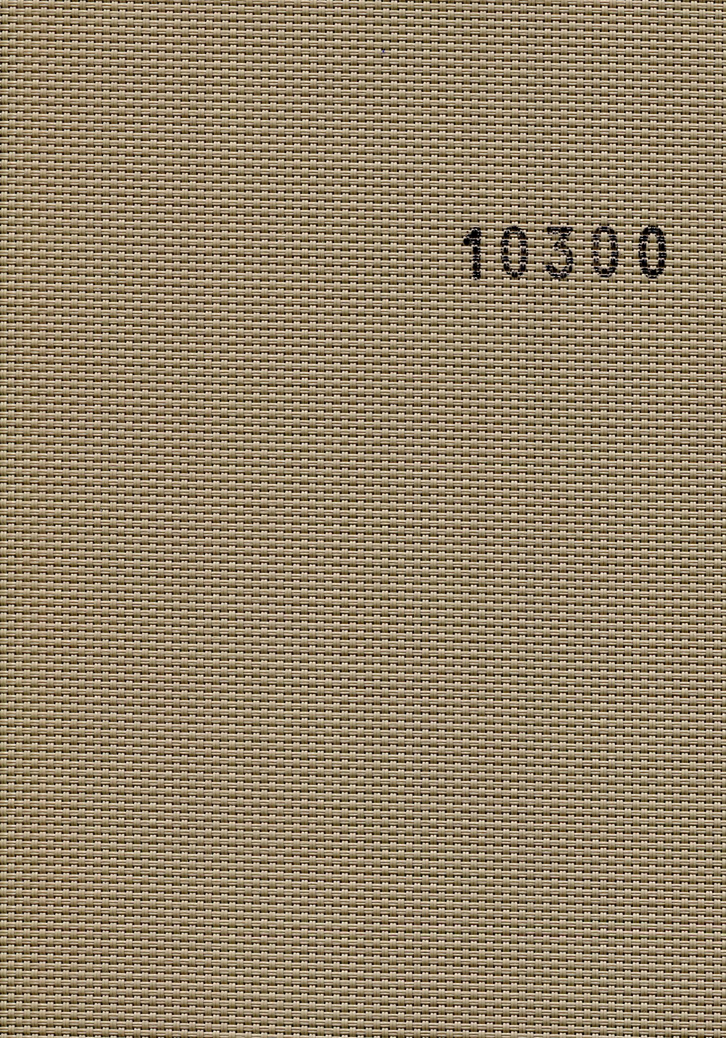 Screen 10300