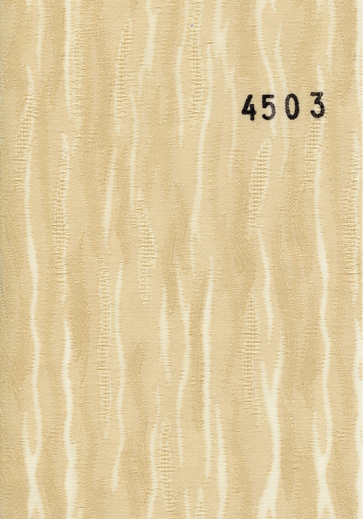 Van_Gogh_4503