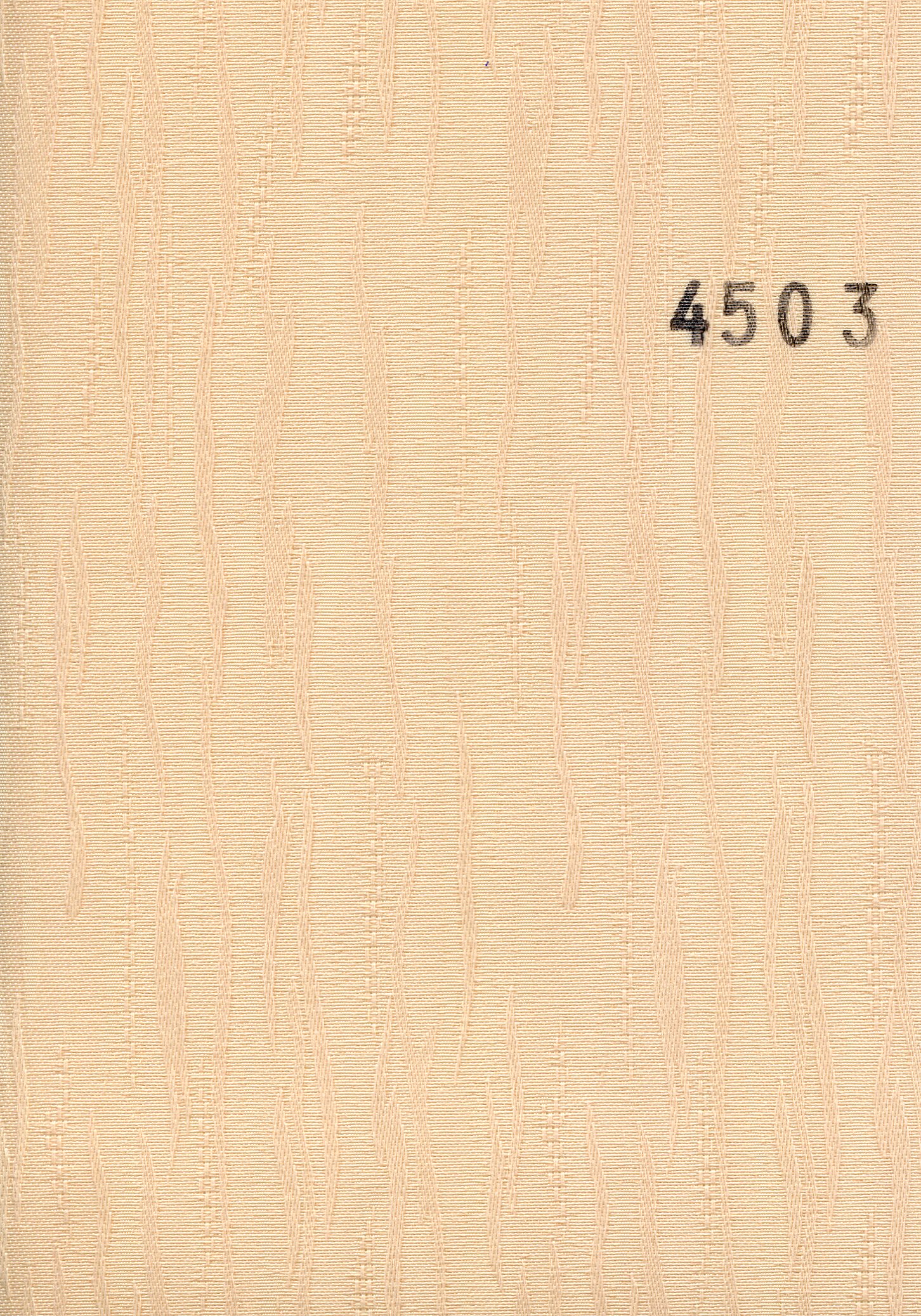 Van_Gogh_T_4503